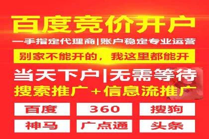 百度SEO优化公司案例详解：如何制定有效的推广计划